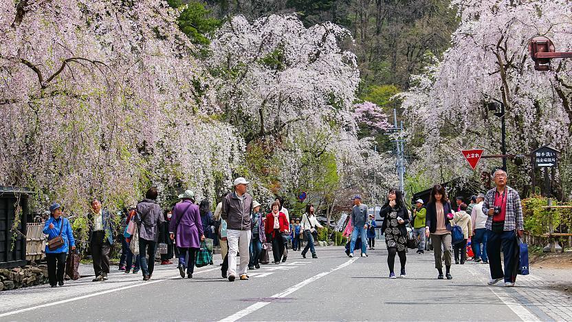 kakunodate