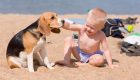 spiaggia per cani a Bibione e Lignano